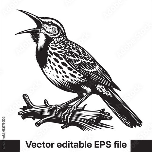 Western meadowlark silhouette, Meadowlark Bird Clipart, Western meadowlark landing on branch Illustration in black and white