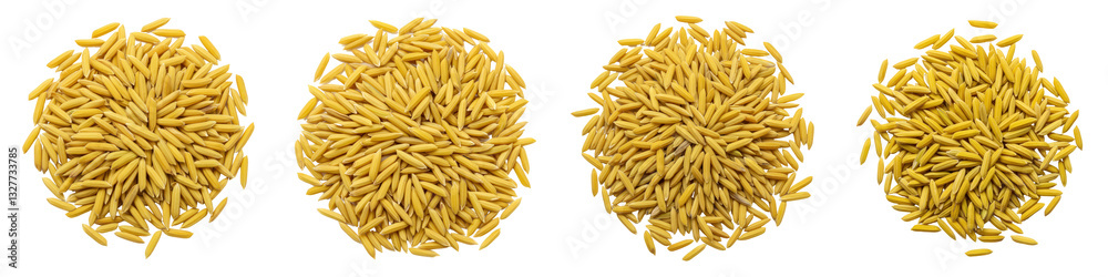 Set of Scattered Paddy Rice Grains Set of Scattered Paddy Rice Grains