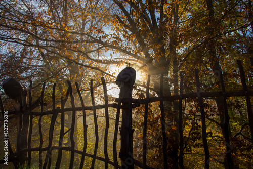 rural fence