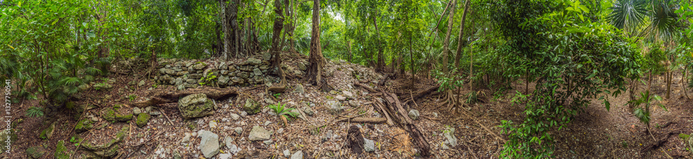 Scenic panoramic pathway winding through lush Mexican jungle, surrounded by vibrant greenery and tropical plants. Adventure, nature exploration, and eco-tourism concept in a stunning natural setting