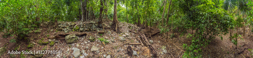Obraz na płótnie Scenic panoramic pathway winding through lush Mexican jungle, surrounded by vibrant greenery and tropical plants. Adventure, nature exploration, and eco-tourism concept in a stunning natural setting w salonie