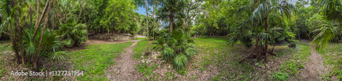 Obraz na płótnie Scenic panoramic pathway winding through lush Mexican jungle, surrounded by vibrant greenery and tropical plants. Adventure, nature exploration, and eco-tourism concept in a stunning natural setting w salonie