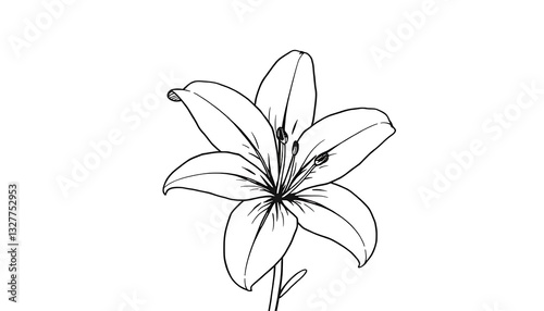 Wallpaper Mural Lily Flowers Sketch Style Illustration Simple Line Torontodigital.ca
