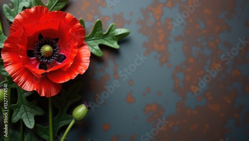 Poppy flower set against a rusty iron background featuring a space for your text. Decorative flower. photo