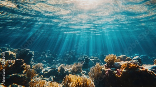 Lush Underwater Environment with Textured Surfaces