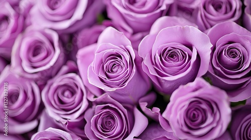   A close-up photo of several large, purple roses with extended lengths