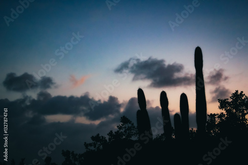 silhouette of cacti and trees nature landscape scene on the beach. tropical dessert cloudscape beautiful backdrop at sunset. meditative zen background with blue and pink hues.