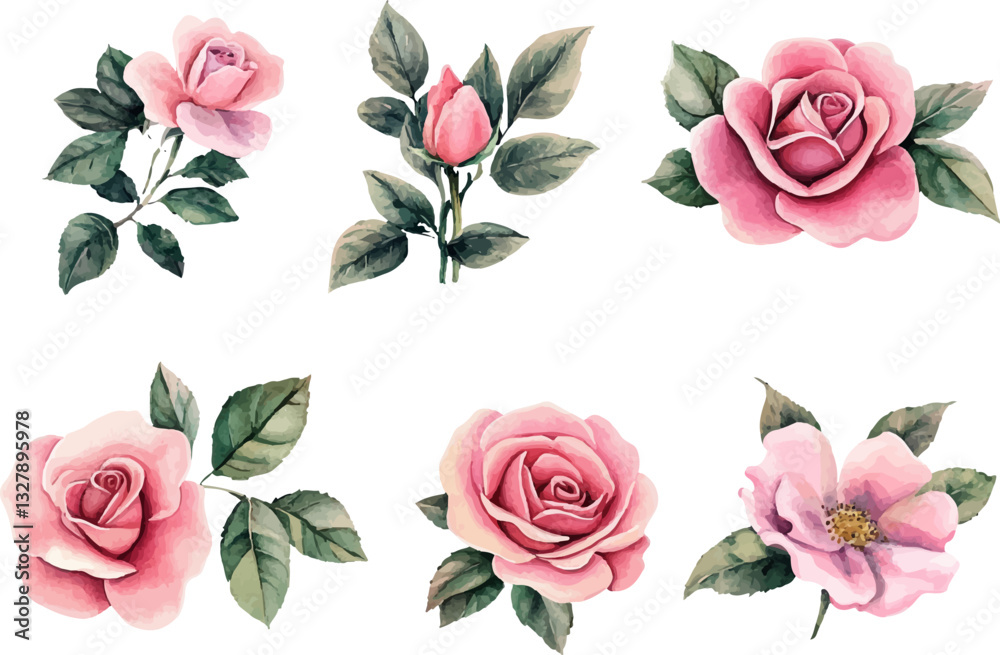 Naklejka premium Modern Watercolor Pink Rose