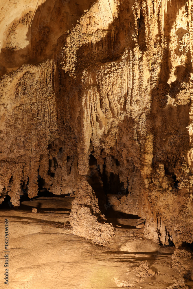 Rock formations in Carlsbad Caverns National Park, New Mexico Rock formations in Carlsbad Caverns National Park, New Mexico