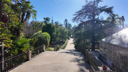 Serene trail at Coimbra botanical garden, Portugal, historic UNESCO cultural site