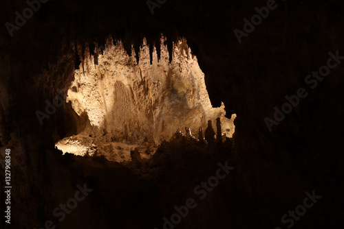 Rock formations in Carlsbad Caverns National Park, New Mexico photo