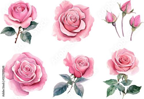 Floral Watercolor Pink Rose