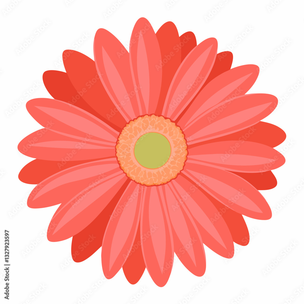 Fototapeta premium Watercolor gerbera vector on white background.