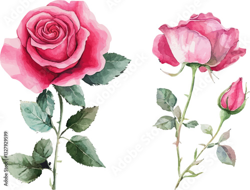 Watercolor Pink Rose Clipart