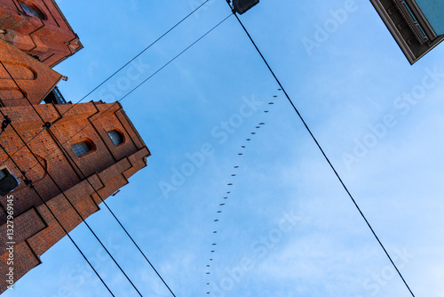 Low-angle view of historic brick church tower with tram wires and flock of birds flying in perfect line against clear blue sky. Concept of urban landscape, architectural heritage, and nature harmony.