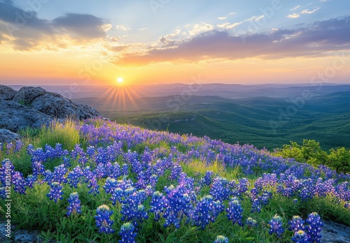 Vibrant Wildflowers Blooming Under a Golden Sunset Overrolling Hills and Mountains with a Colorful Sky in a Serene Nature Landscape