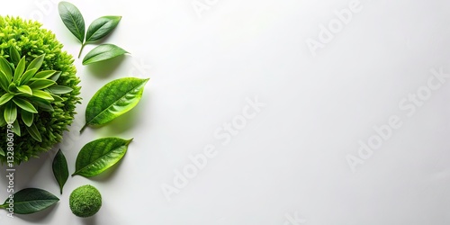 Flat Lay Green Design, Organic Nature Photography, Above Shot, White Background, Copy Space