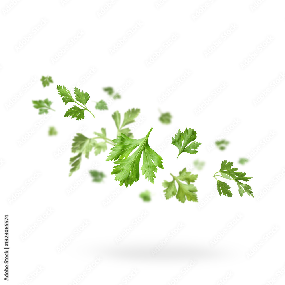 Fresh green parsley leaves in air on white background Fresh green parsley leaves in air on white background