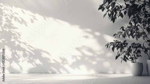 Sunlit White Room with Plant and Shadowy Leaves