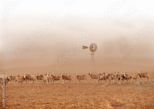 Sheep in a dust storm with windmill in background