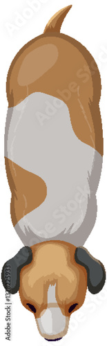 Top-Down View of a Dog