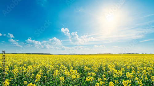 Obraz na płótnie vibrant field of yellow flowers stretches to horizon under clear blue sky, sun radiating warmth and serenity across landscape w salonie