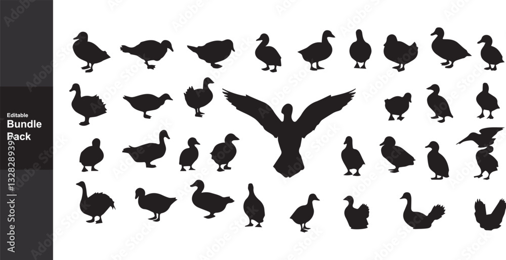 Obraz premium Duck Silhouette Vector Bundle: Flying, Swimming, Standing Bird Silhouettes for Graphic Design, Nature, Wildlife, and Ornithology Projects