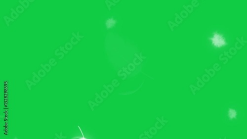 Falling White Feathers on Green Screen – Chroma Key Soft Feather Animation for Video Editing