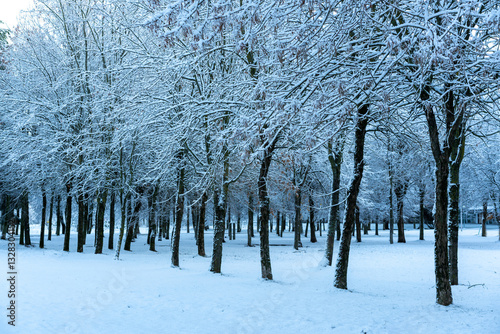 Winter landscapes in the park.