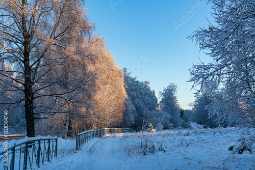Winter landscapes in the park.