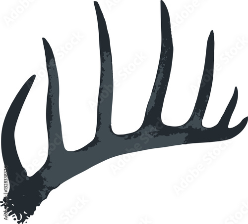 horns of a deer