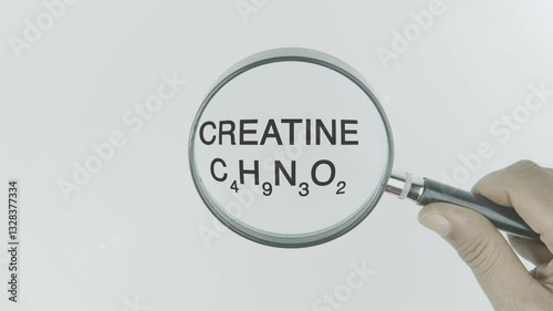 Creatine text highlighted by a magnifying glass in a hand on a white background, symbolizing focus on muscle energy, performance, and physical strength