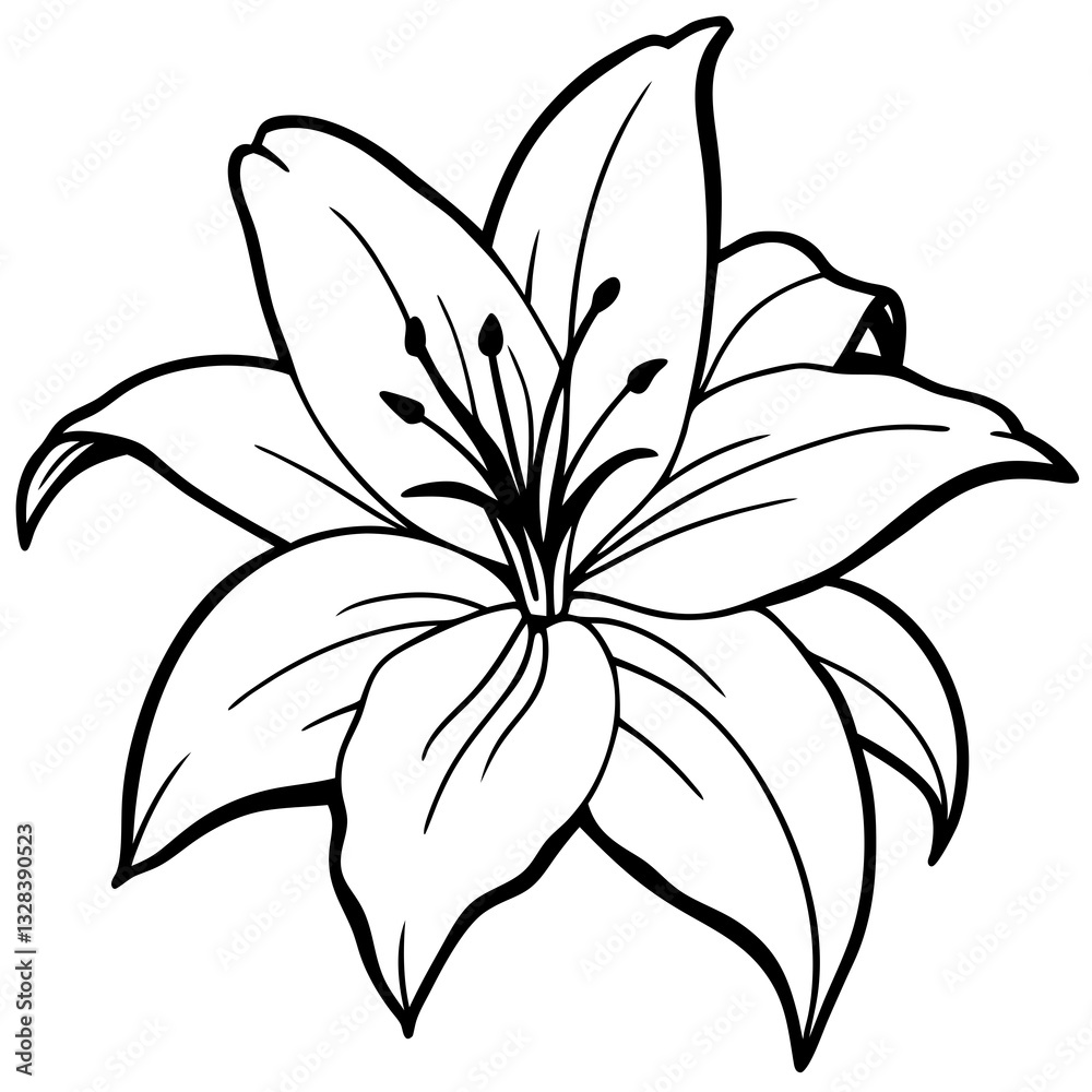 Fototapeta premium black and white lily