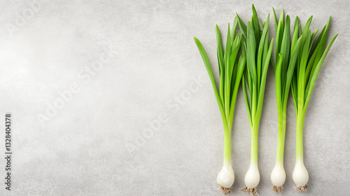 Fresh Green Onions: Vibrant green onions arranged in a row, ready to enhance your culinary creations, offering freshness and natural flavors.