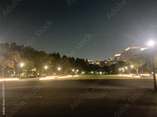 Shinjuku central park in Tokyo at night time.