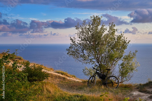 Mountain bike with a tree on the Black Sea coast in Anapa