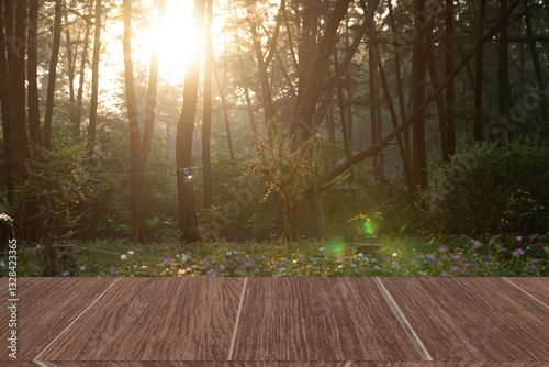 Wooden table tops separate forest scenerynatural environment in the morning telling the season.