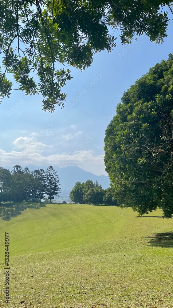 Obraz premium golf course in summer