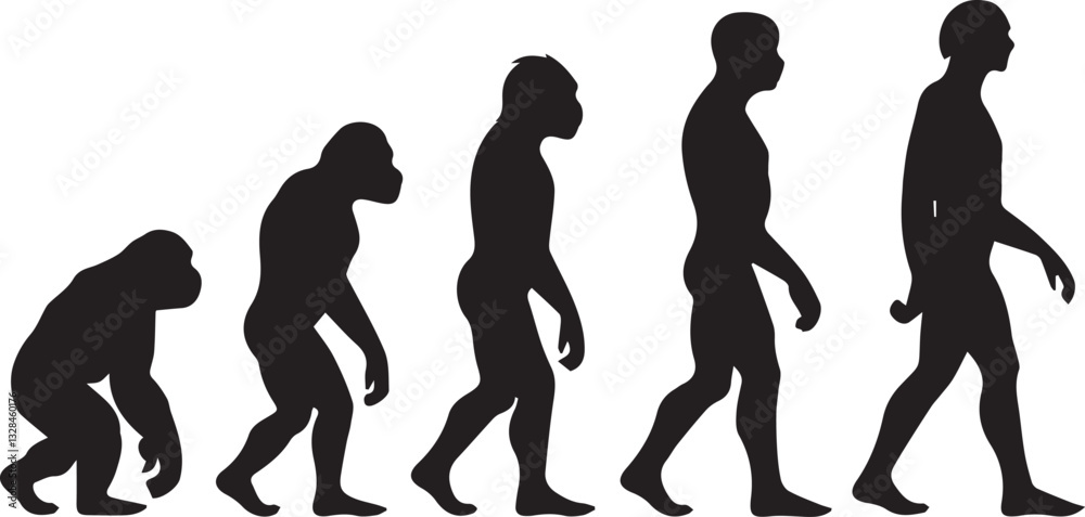 Fototapeta premium Stages of human growth