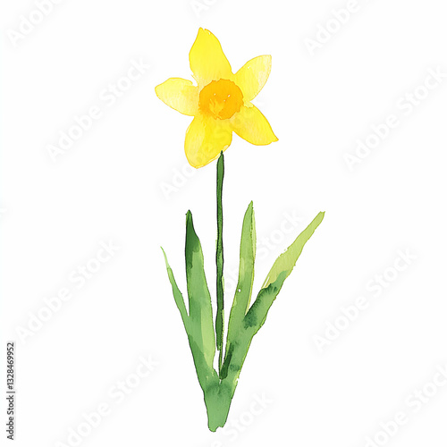 flower isolated on white