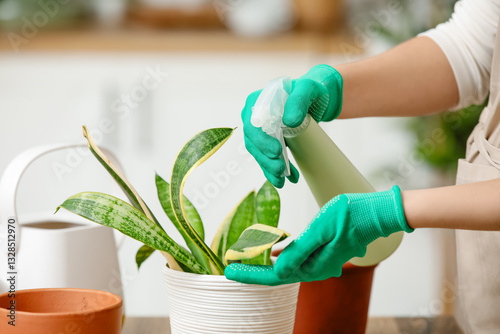 Woman spraying leaves of sa...