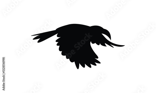 Flying African grey hornbill bird Silhouette Design  And Vector Illustration. 