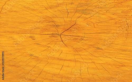 Background of old wood, texture old wood