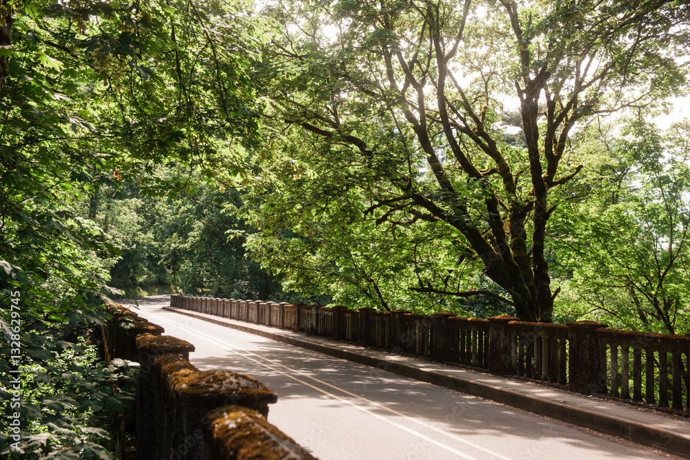 Moss-Covered Bridge on the Historic Columbia River Highway