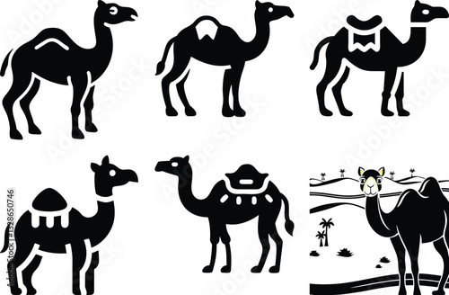 Black Camel Icons Set: Vector Illustrations of Dromedary Camels in Various Poses and with Saddles, Desert Animals