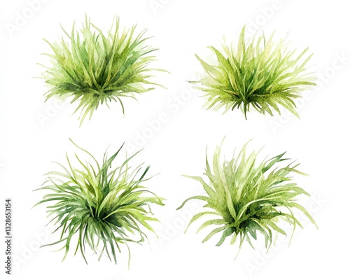 green grass isolated on white background, Set of watercolor tree top view for landscape plan and architecture layout