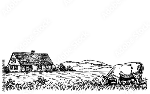 Engraved illustration of a peaceful rural landscape featuring a grazing cow near a charming cottage in nature