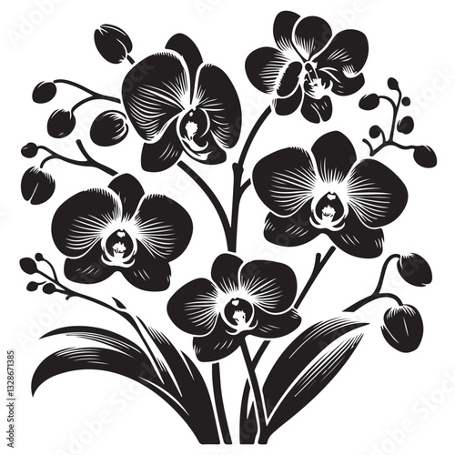 Vector Black Silhouette Orchid Flowers illustration,orchid pattern,simple modern botanical design in white background 13