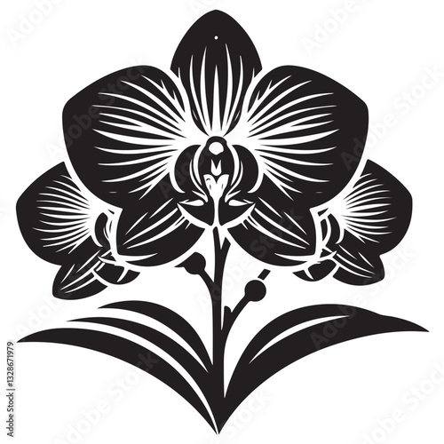 Vector Black Silhouette Orchid Flowers illustration,orchid pattern,simple modern botanical design in white background 18
