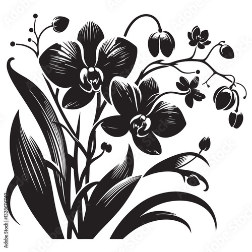 Vector Black Silhouette Orchid Flowers illustration,orchid pattern,simple modern botanical design in white background 55
